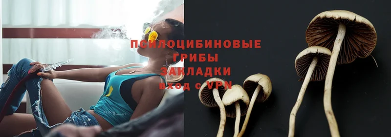 Галлюциногенные грибы MAGIC MUSHROOMS  Верея 